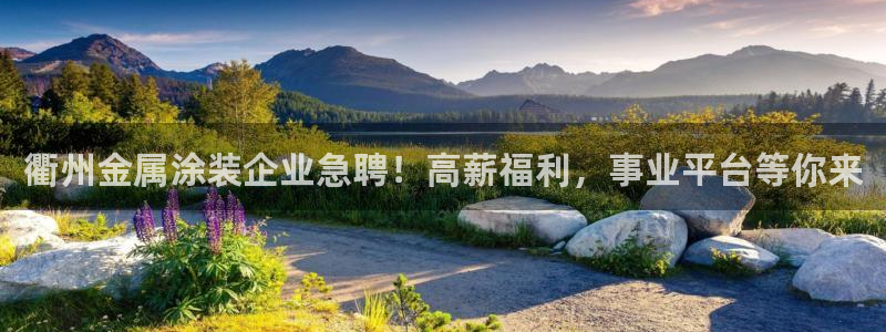 美高梅在澳门有几家