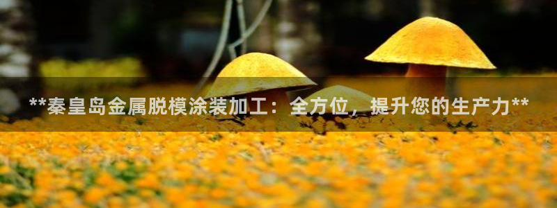美高梅会员卡种类