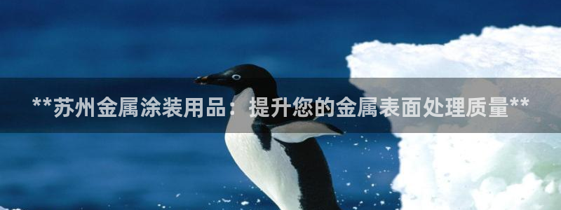 美狮美高梅酒店黑卡