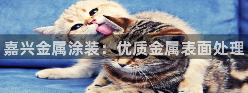 美狮美高梅酒店贵还是摩泊斯贵