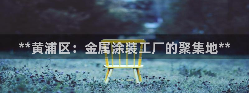 美高梅控股有限公司怎么样