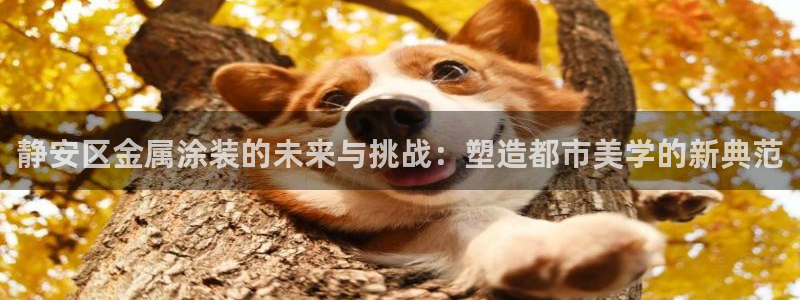 美高梅酒店是谁的