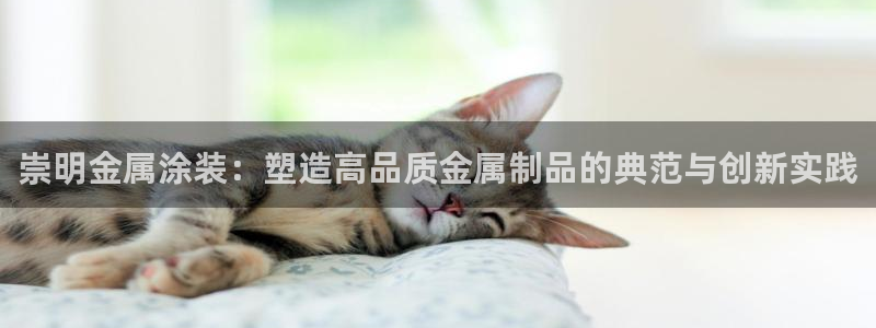 美高梅酒店房间