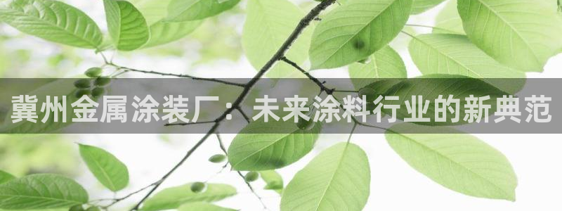 美高梅会员卡需要退卡吗