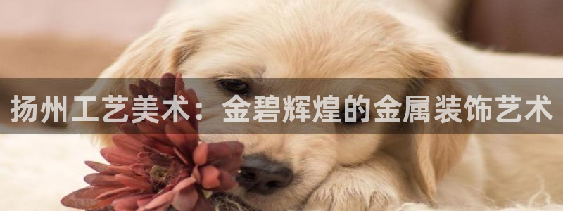 美高梅别墅在哪里
