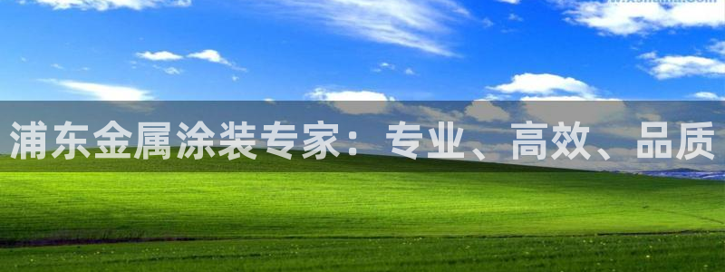 美高梅和米高梅是什么关系啊