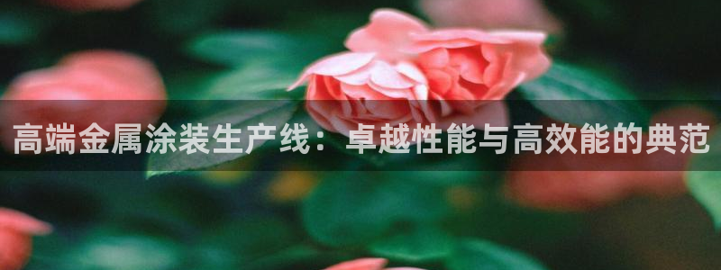 美狮美高梅酒店风水
