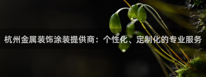 美高梅酒店上海
