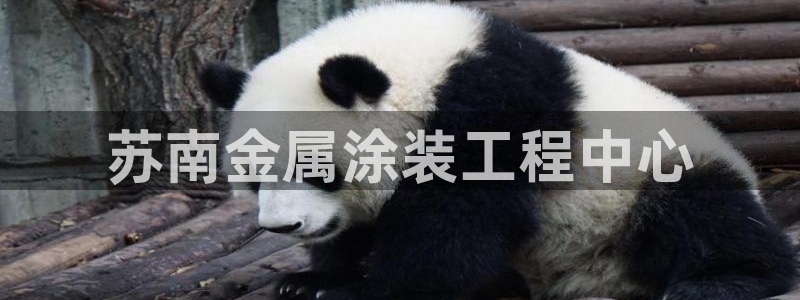 美狮美高梅发财车时刻表