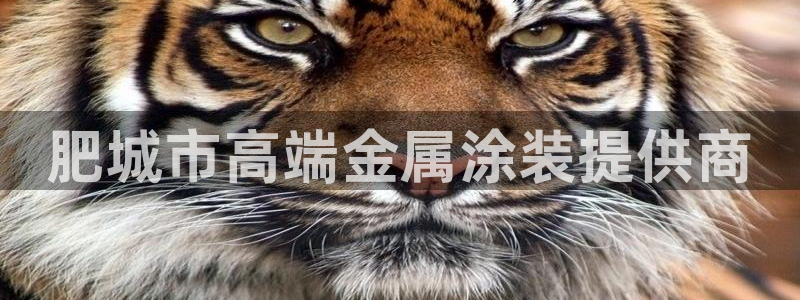 美高梅会员卡要充值吗