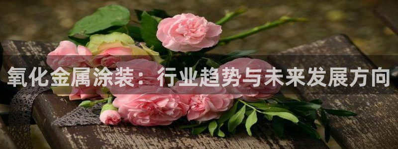 美高梅会员卡等级怎么分