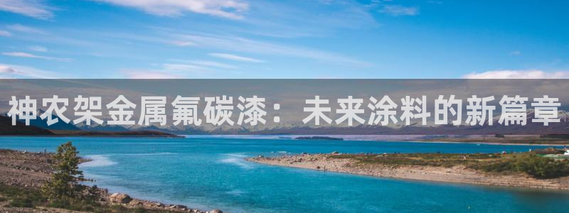 美高梅酒店股东