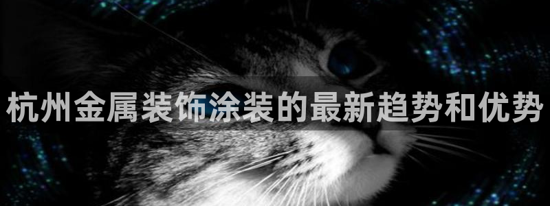 美高梅软件开发创始人