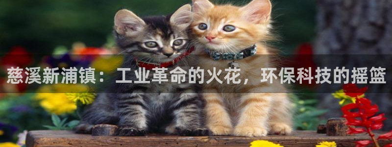 美狮美高梅酒店和美高梅