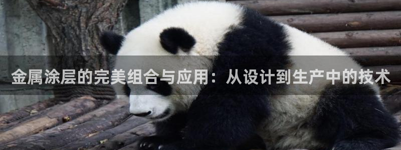 美高梅股票
