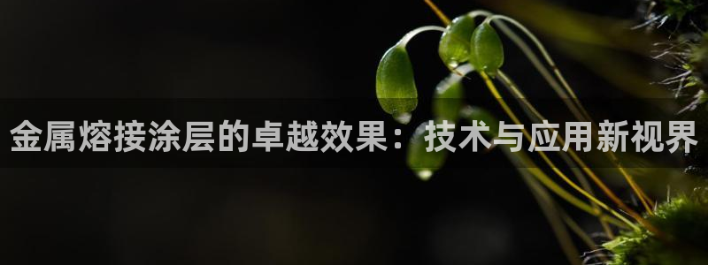 美高梅股票代码02282最近行情怎么样