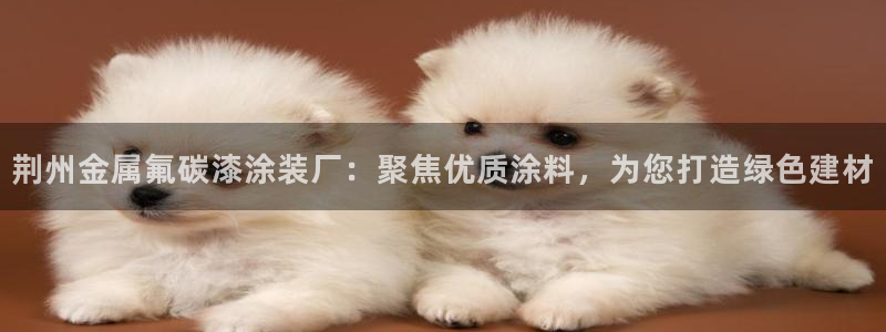 美高梅酒店何超琼