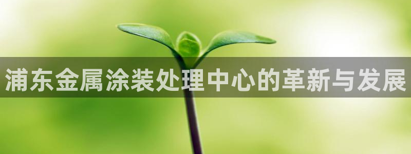美高梅酒店集团简介