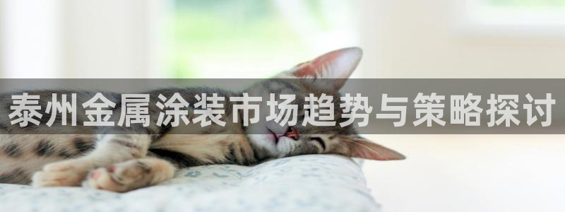 美高梅儿童乐园需要门票