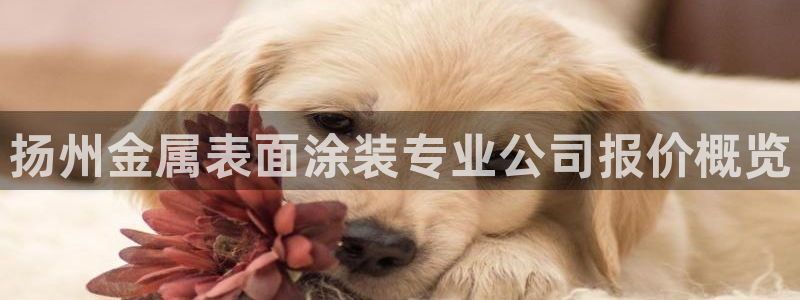 美高梅酒店自助年卡