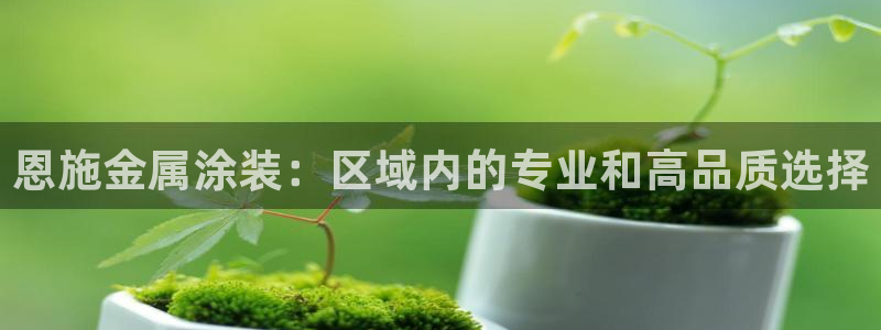 美高梅一积分多少钱