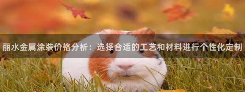 美高梅筹码图片高清