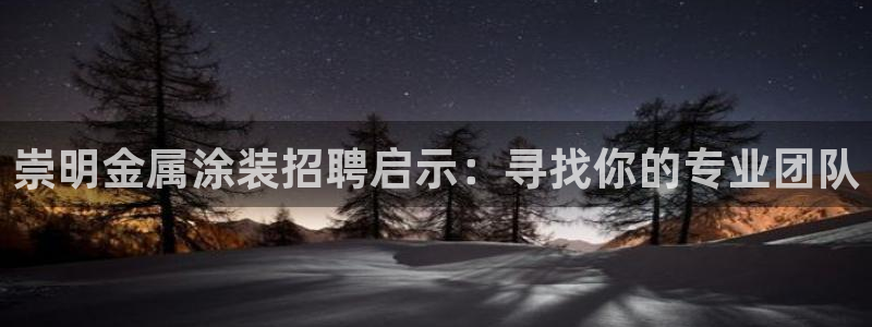 美高梅酒店和丽思卡尔顿哪个好