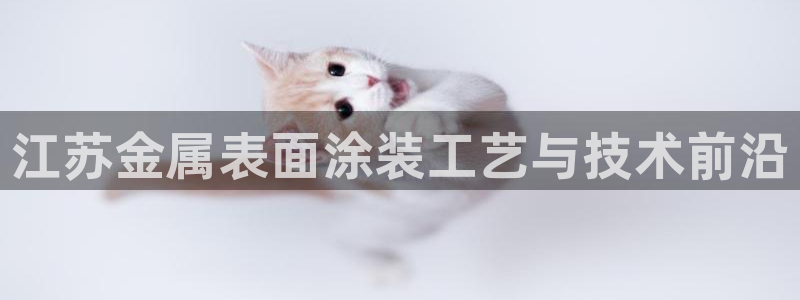 美狮美高梅酒店