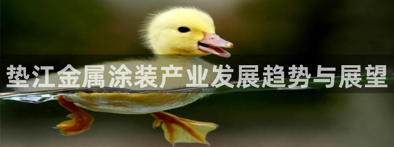 美高梅和永利是一家吗