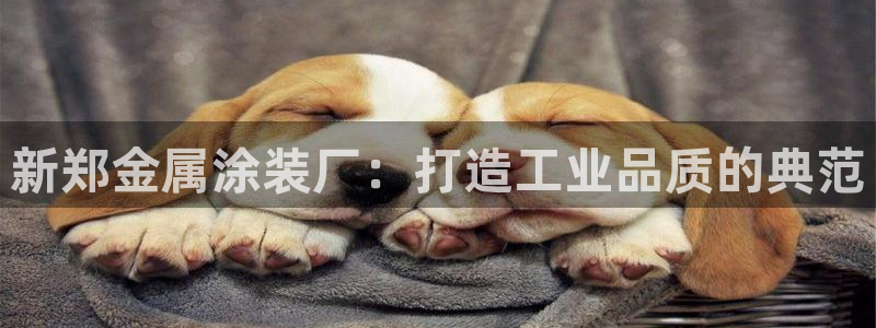 米高梅酒店和美高梅酒店