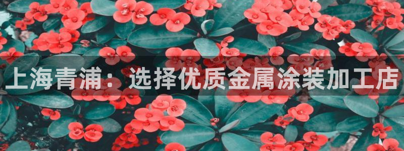 美高梅mgm信誉第一