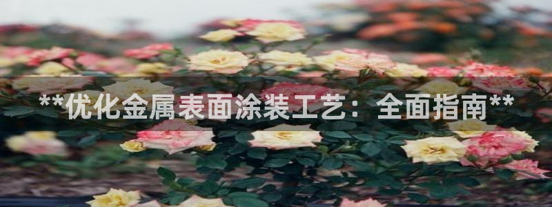 美高梅酒店房卡