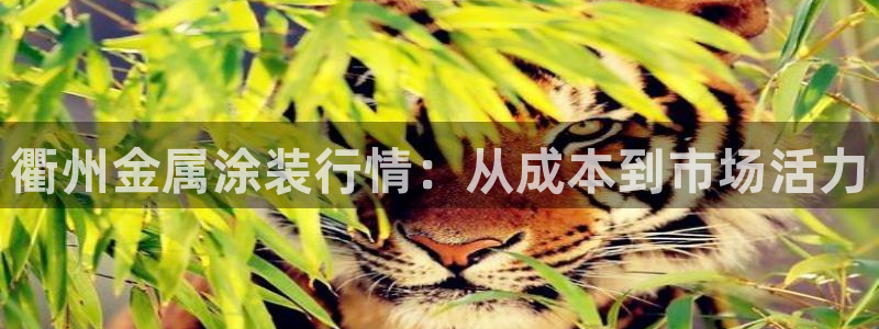 美狮美高梅酒店外观图片