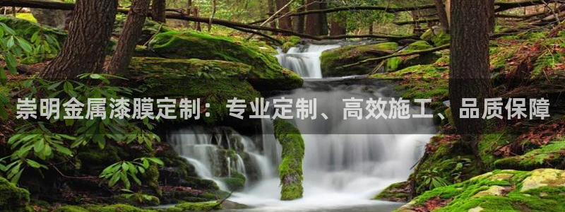 美高梅大酒店拉斯维加斯