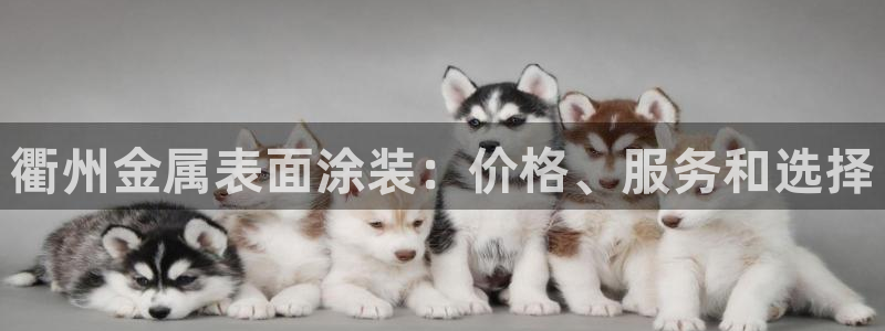 美高梅会员卡被别人用了：衢州金属表面涂装