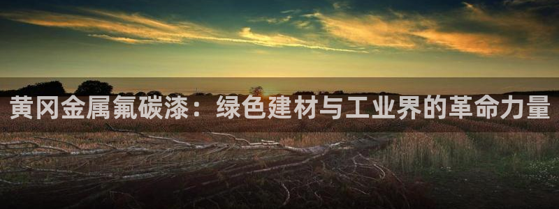 美狮美高梅和美高梅有什么区别