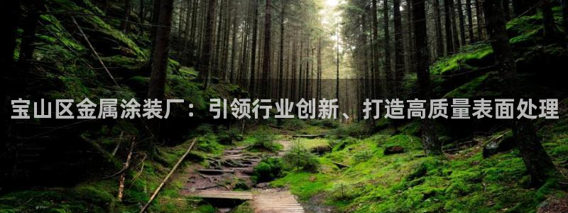 美高梅会员卡等级图片：宝山区金属涂装厂：